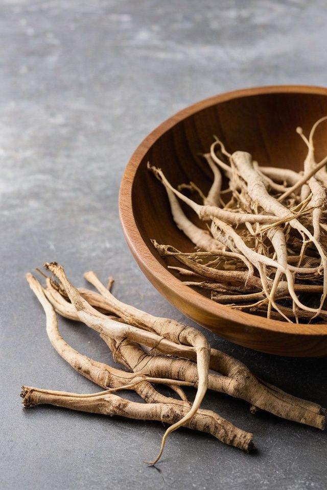 Shatavari - Asparagus racemosus - Spagyric Tincture – Hormonal Balance & Vitality | CPHON