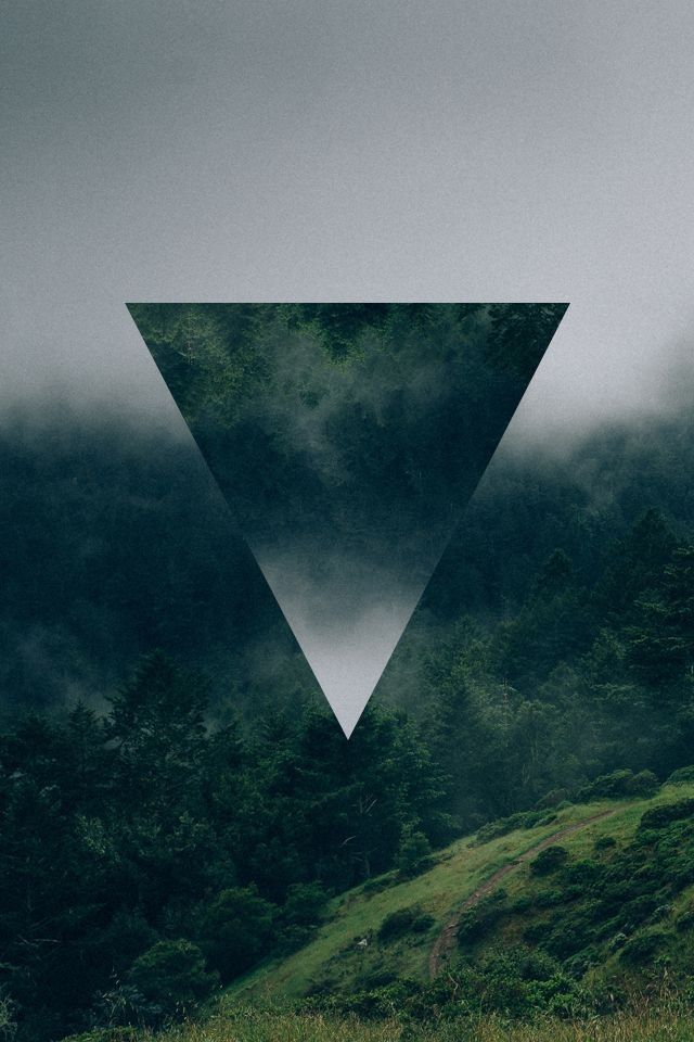 Feverfew – Tanacetum parthenium – Spagyric Tincture – Headache Relief & Nervous System Support | CPHON